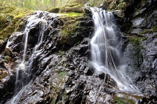 DSCF6803.jpg