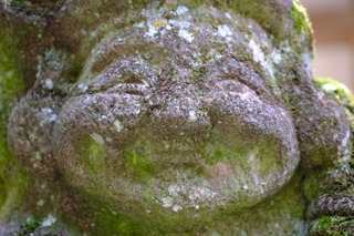 DSCF6823.jpg