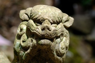 DSCF6827.jpg