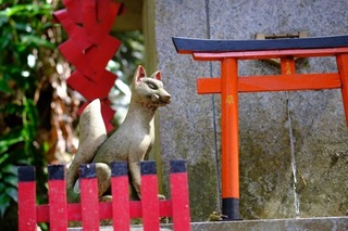 DSCF6830.jpg