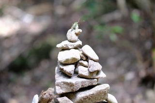 DSCF6843.jpg