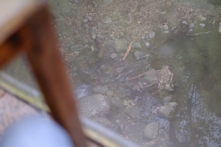 DSCF6853.jpg