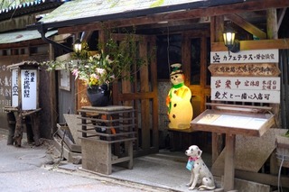 DSCF6855.jpg