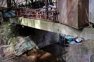 DSCF6856.jpg