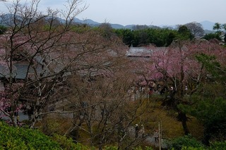 DSCF6928.jpg