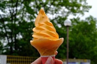 DSCF7120.jpg