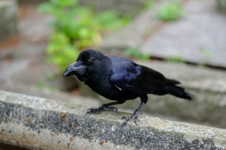 DSCF7141.jpg