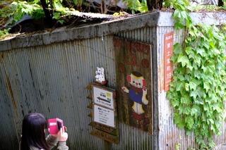 DSCF7148.jpg