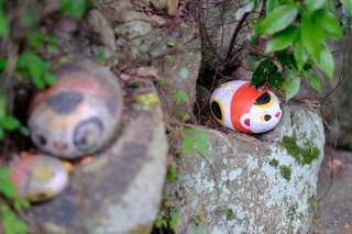 DSCF7150.jpg