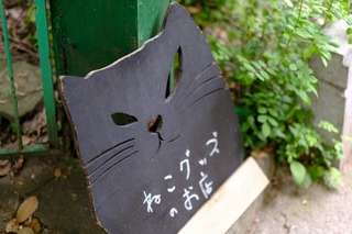 DSCF7163.jpg
