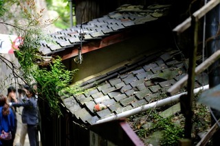 DSCF7165.jpg