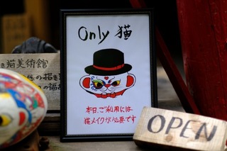 DSCF7166.jpg