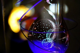 DSCF7278.jpg