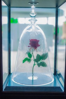 DSCF7281-1.jpg
