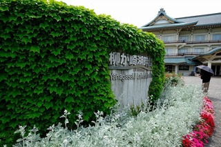 DSCF7285.jpg