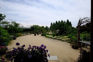 DSCF7287.jpg