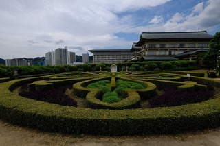 DSCF7323.jpg