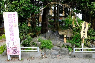 DSCF7373.jpg
