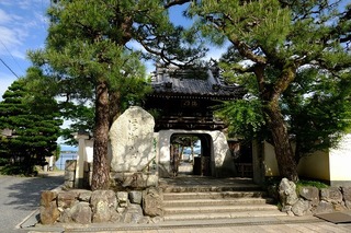 DSCF7374.jpg