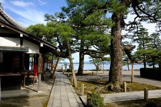 DSCF7375.jpg