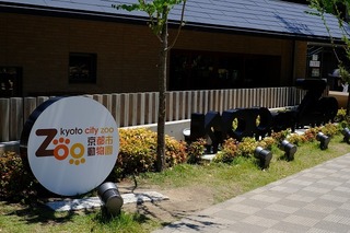 DSCF7458.jpg
