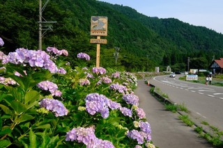 DSCF7478.jpg