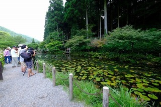 DSCF7481.jpg