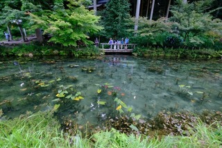 DSCF7482.jpg