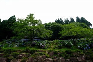 DSCF7491.jpg