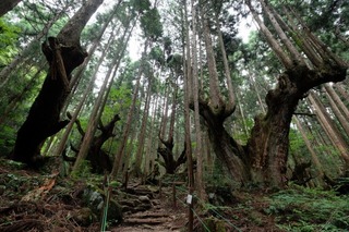 DSCF7505.jpg