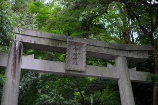 DSCF7654.jpg