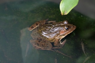 DSCF7679.jpg