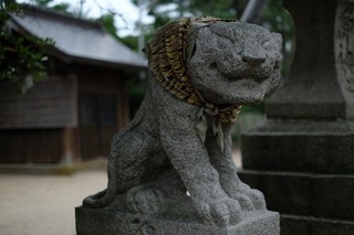 DSCF7690.jpg