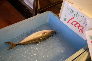 DSCF7713.jpg