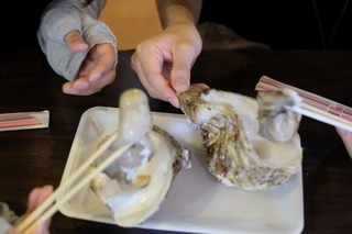 DSCF7738.jpg