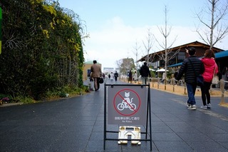 DSCF8013.jpg