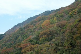 DSCF8076.jpg