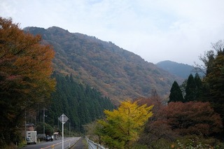DSCF8080.jpg