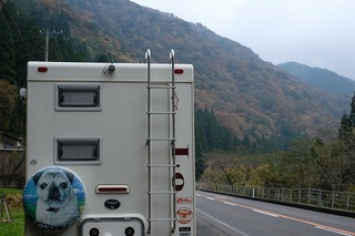 DSCF8083.jpg