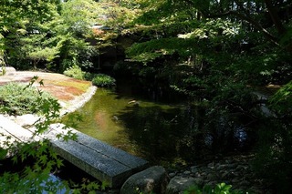 DSCF8088.jpg