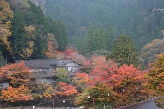 DSCF8118.jpg