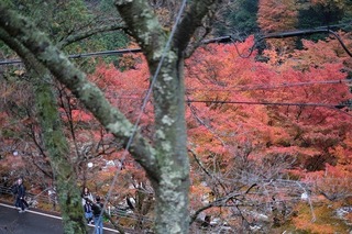 DSCF8124.jpg