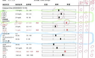 初回結果.jpg