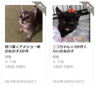 四つ葉&ニコ.jpg