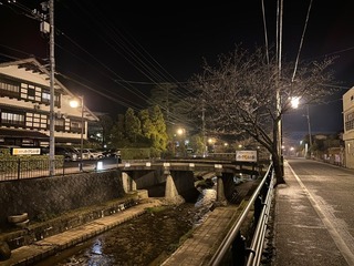 E813FE91-20D8-4632-BD8A-E9C09B96339F.jpeg