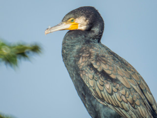 IMGP0312-1.jpg