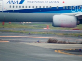 IMGP0358-1.jpg