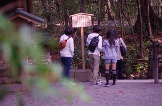 IMGP0727.jpg