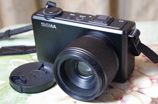 IMGP0903.jpg