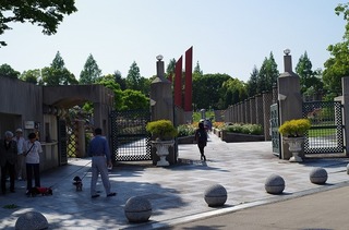 IMGP1662.jpg